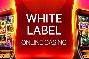 Casino online White Label: Plan de negocios efectivo de 2WinPower