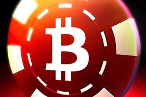 How to Make a Bitcoin Gambling Website in Ten Days?