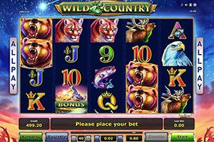 Online Casino Design 2025: The Best Ways to Attract an Audience