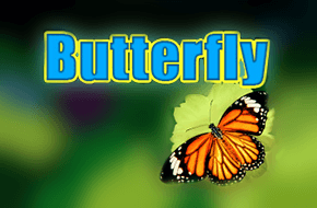 butterfly_15023731811281_image.png