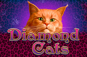 diamond_cats_v_d_amatic_prodag_y_orenda_slota_u_stud_2winpower_16570984382968_image.jpg