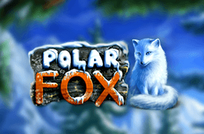 polar_fox_15027961739322_image.png
