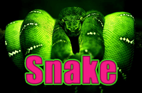 snake_15028769569454_image.png