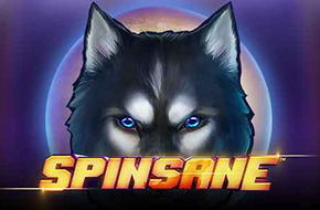 spinsane_1660918372952_image.jpg