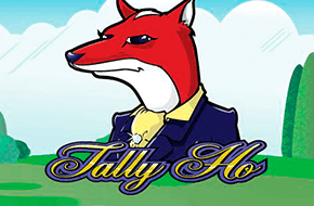 tally_ho_15021941259313_image.png