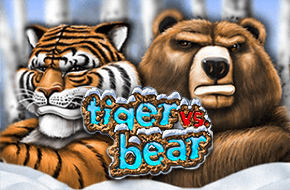 tiger_vs_bear_15021942022156_image.png