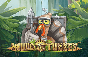 wild_turkey_15052887499049_image.png