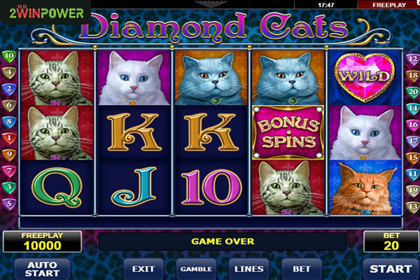 diamond cats ot amatic prodaga i arenda slota v studii 2winpower 16570330087312 image