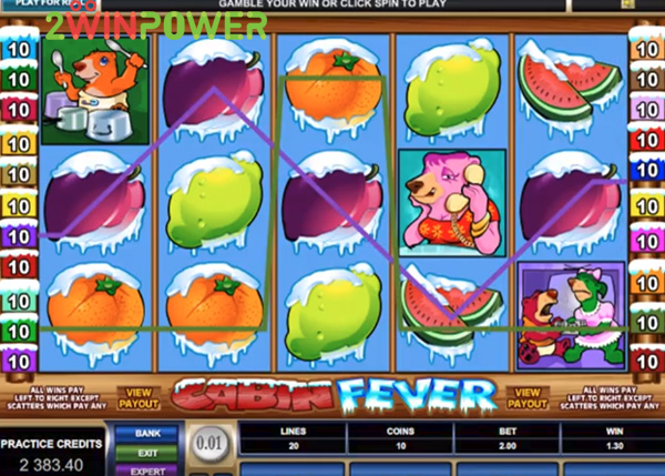microgaming cabin fever 15066064863807 image