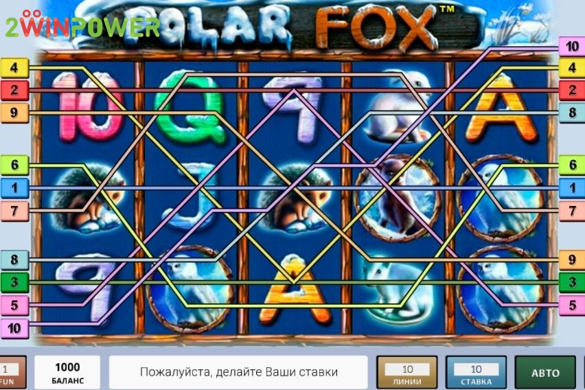 novomatik igra polar fox 16279757506704 image