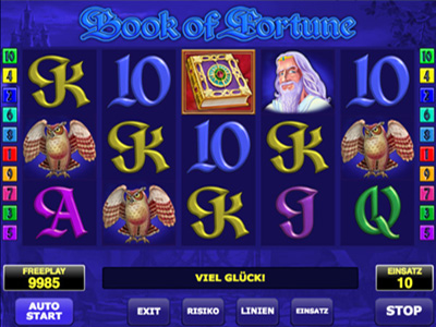 Book of Fortune: Amatic game copy