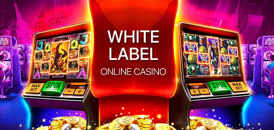 White Label online casino: what is in a package