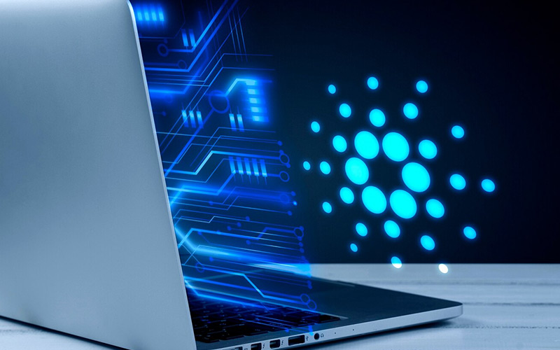 HKB statistics and analytics