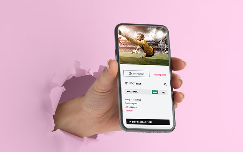 Подключение софта BetGenius Подключение софта BetGenius через 2WinPower