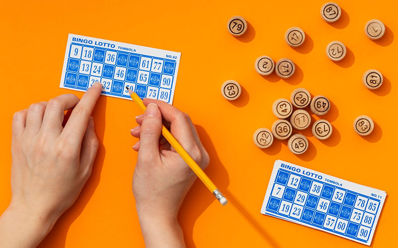 Top bingo software providers