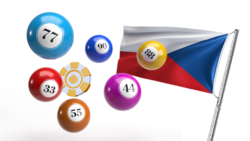 Benefits of the Czech licence