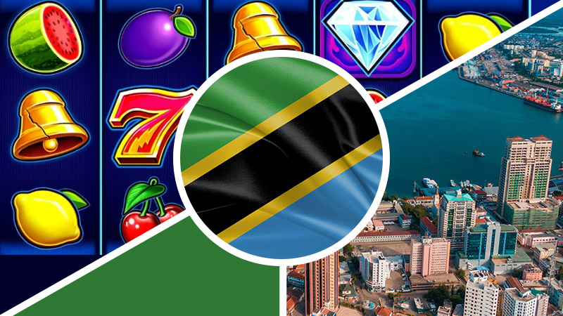 Licence application process in Tanzania